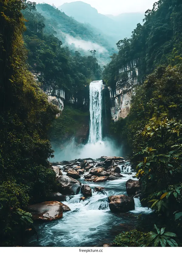Waterfall in the Lush Green Forest