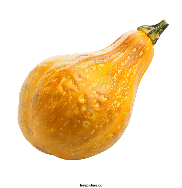 [Transparent Background PNG]Single Yellow Squash on White Background