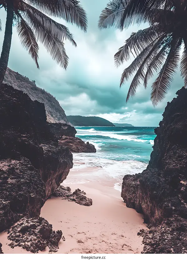 Tropical Beach View Through Palm Trees