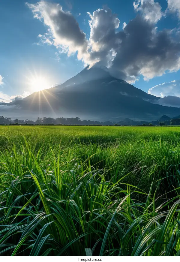 Green field with volcano in the background