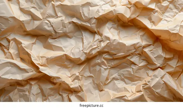Close-up of crumpled brown paper texture