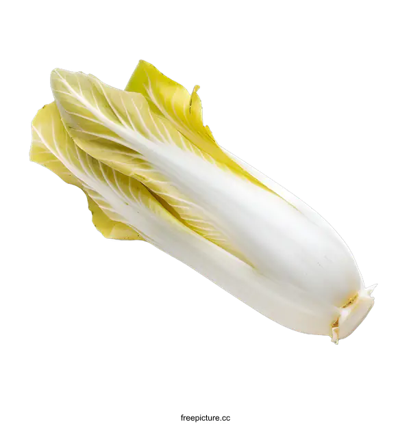 [Transparent Background PNG]Fresh Green and White Chicory on White Background