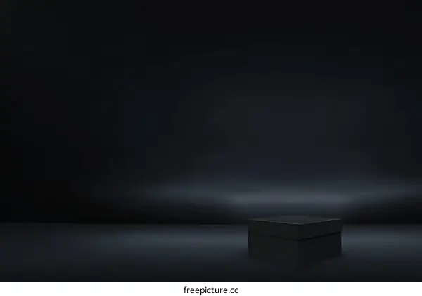 Empty Black Box on Dark Studio Background