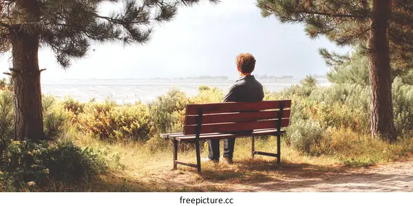 Peaceful Moment by the Seaside Bench