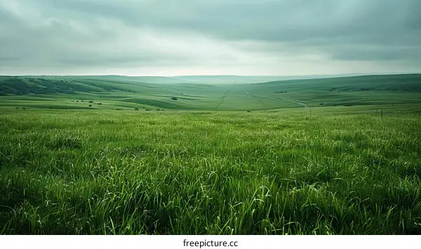 Rolling Green Hills under a Cloudy Sky