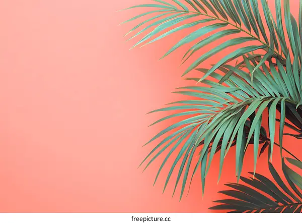 Tropical Palm Leaves on Pink Background