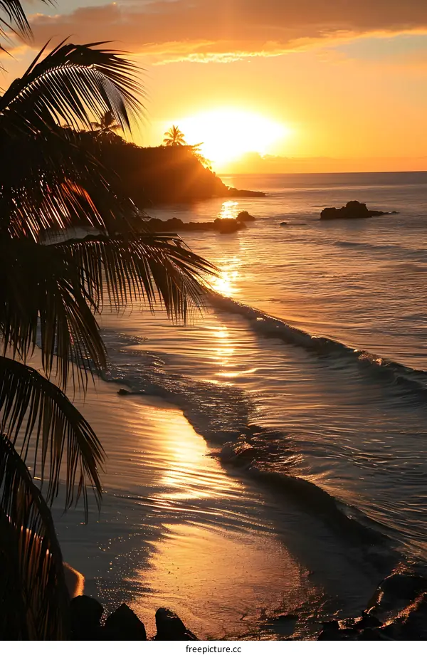 Tropical Sunset Beach Waves