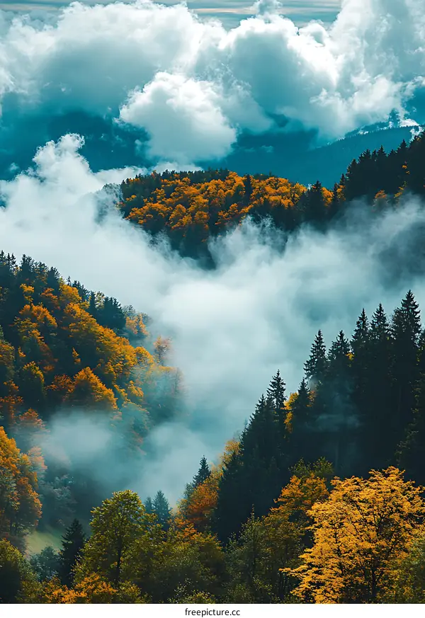 Foggy Autumn Forest Landscape with Golden Trees