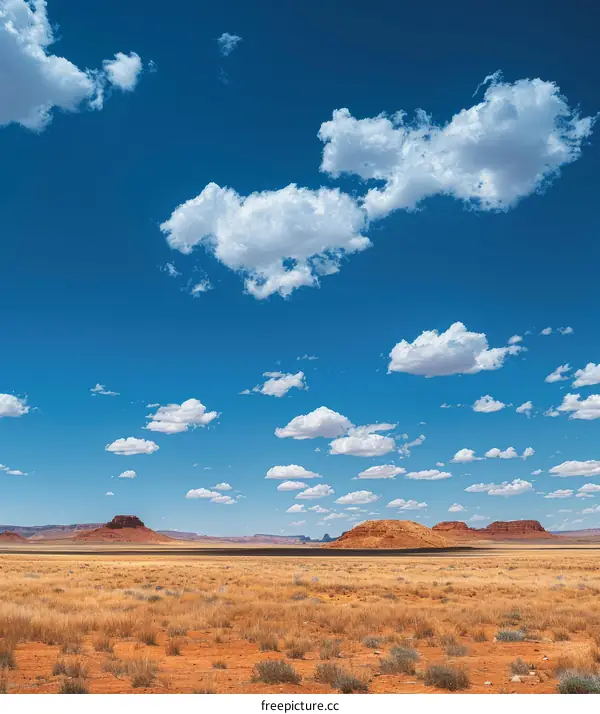 Beautiful desert landscape with blue sky and clouds