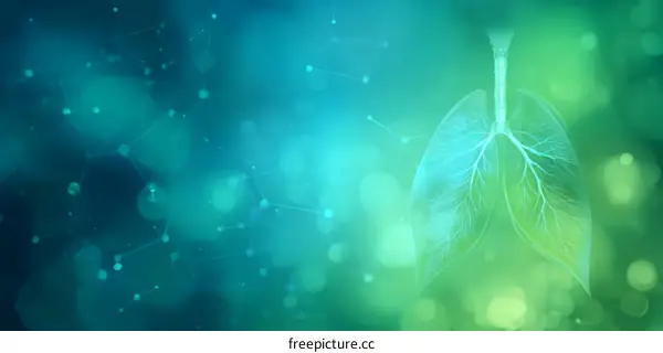 Human Lungs Illustration with Abstract Background