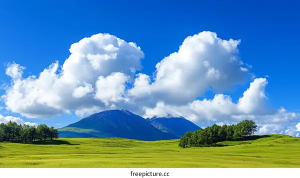 Beautiful Mountain Meadow Under a Cloud Filled Sky
