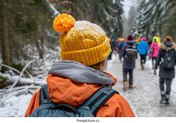 Person in Yellow Hat Walking in Snowy Forest