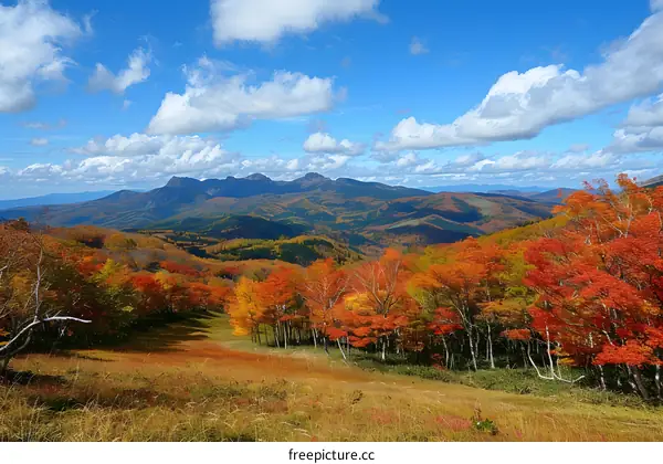 Autumn mountain landscape