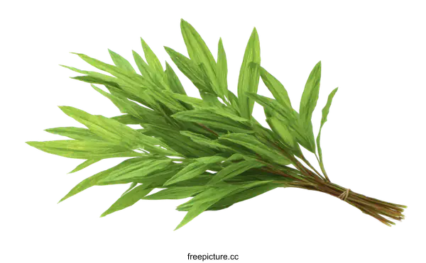 [Transparent Background PNG]Fresh Green Herbs Bunch Close-up