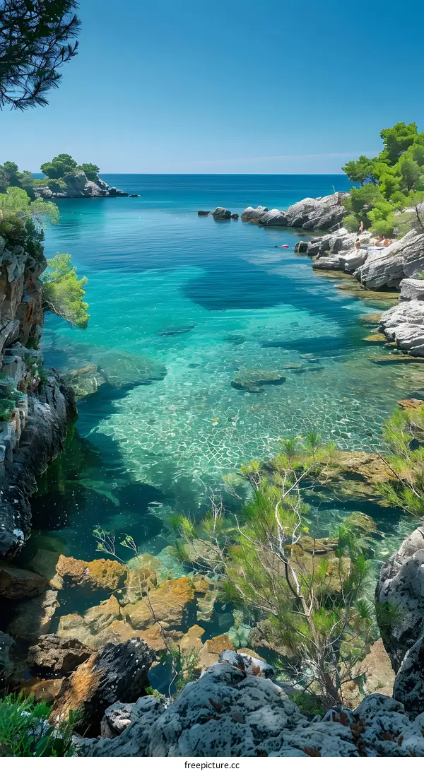 Secluded Turquoise Cove Paradise