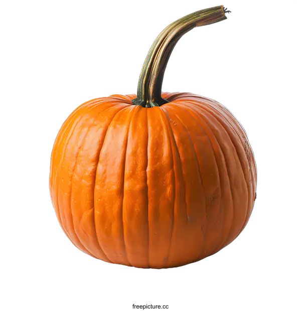[Transparent Background PNG]Single Orange Pumpkin Isolated on White Background