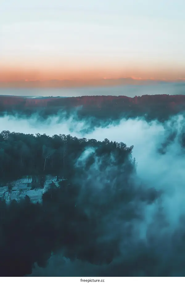 Forest Landscape with Fog and Blue Sky