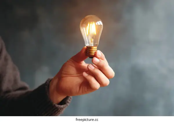Idea Lightbulb  Creativity  Inspiration  Innovation  Hands
