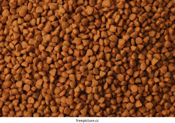Close-up View of Dry Pet Food
