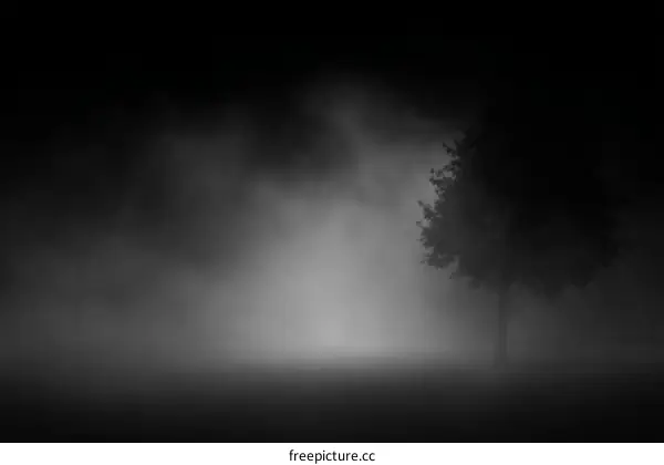 Mysterious Foggy Forest Scene at Night