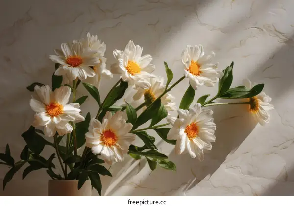 A Bouquet of White Daisies in a Vase