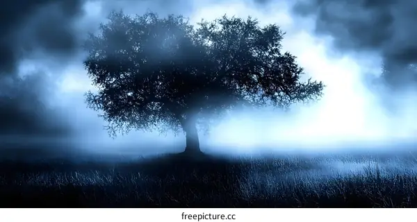 Misty Morning in the Field with Silhouette Tree