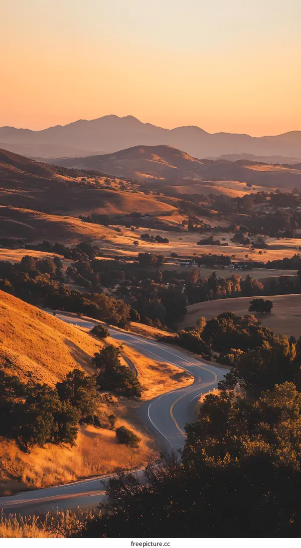 Winding Road Through California Hills at Sunset