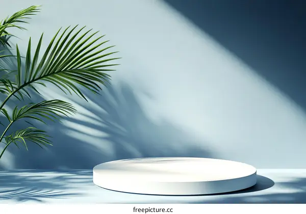Elegant Minimalist Product Showcase with Sunlight and Palm Leaves