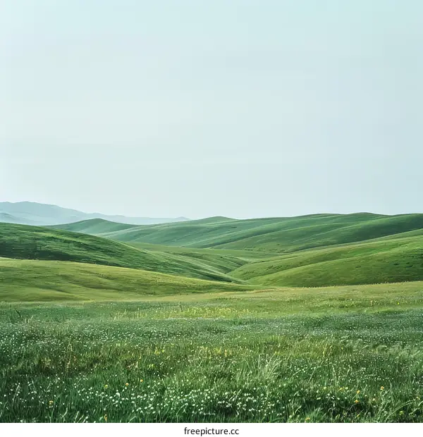 Verdant Hills Unfold Under Azure Sky with Cotton-like Clouds