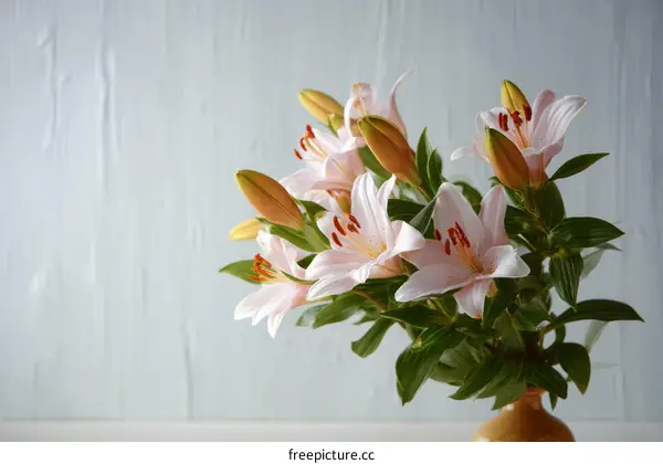 Beautiful Pink Lilies Bouquet on Light Blue Background
