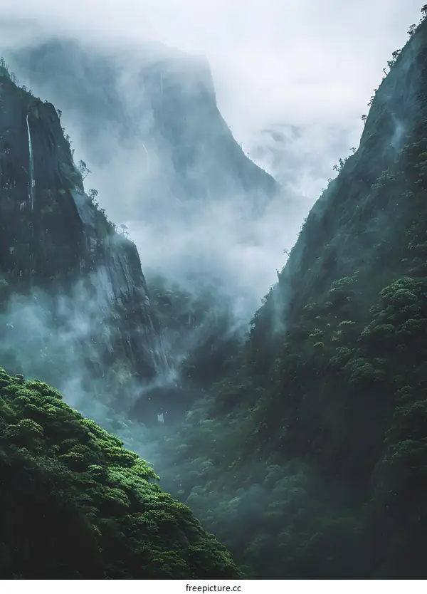 Misty Mountain Landscape with Lush Greenery