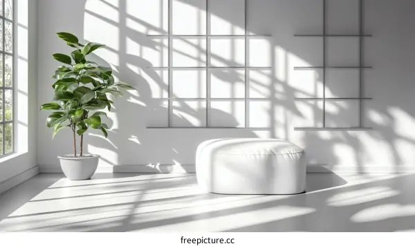 Modern Minimalist Interior Design Scene with Sunlight and Shadows