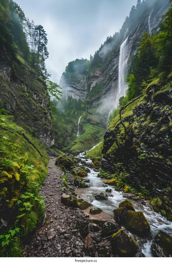 Waterfall in a Mountain Gorge