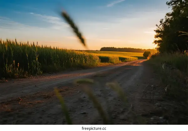 Sunset over a rural dirt road with fields on both sides