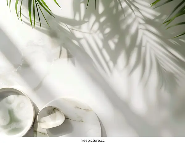 Minimalist White Background with Palm Leaf Shadow and Ceramic Plates