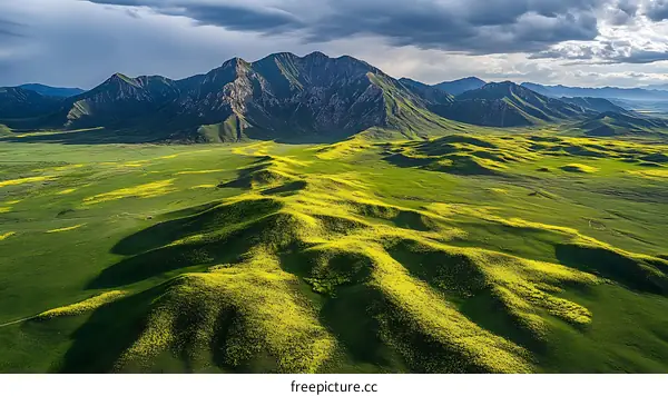 Majestic Mountain Valley with Vibrant Wildflowers