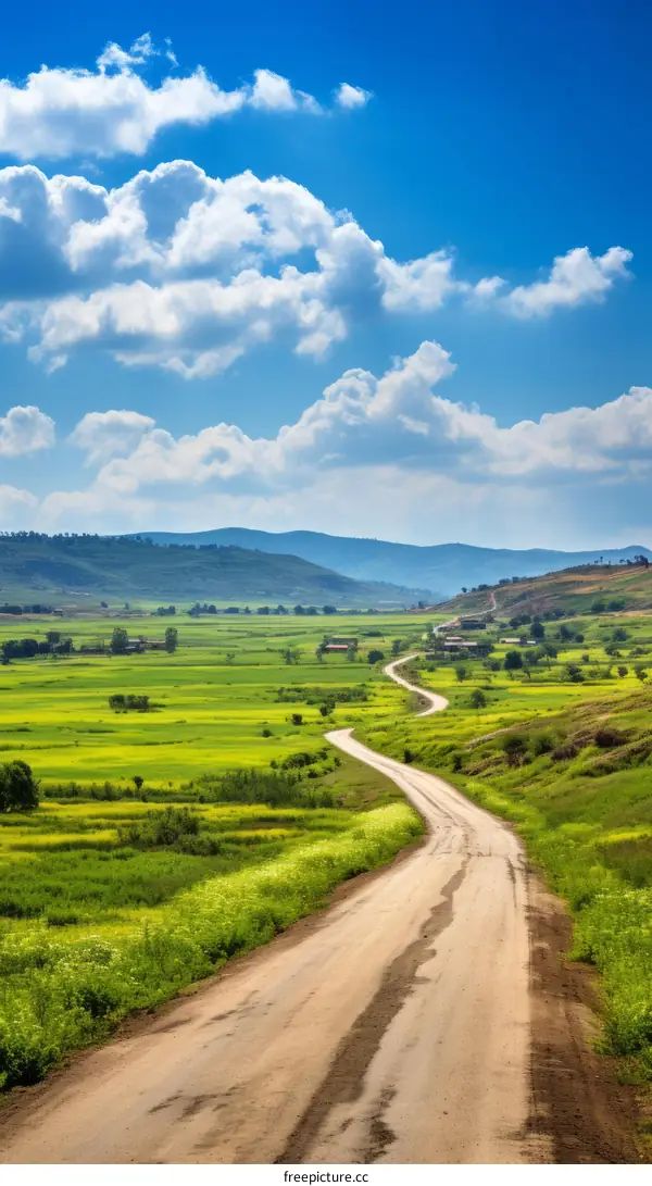 Country Road Traversing Green Fields in Spring