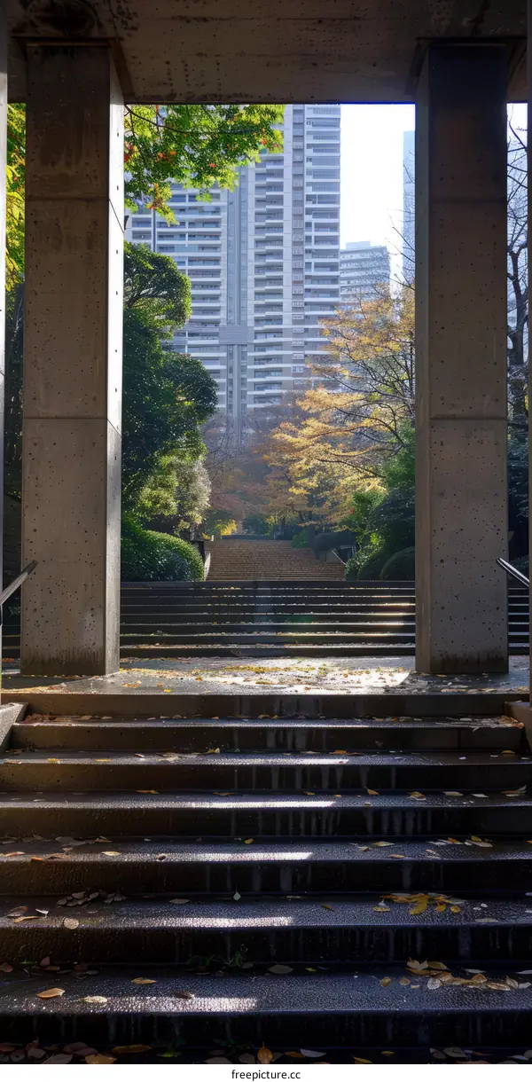 Stairway to the City