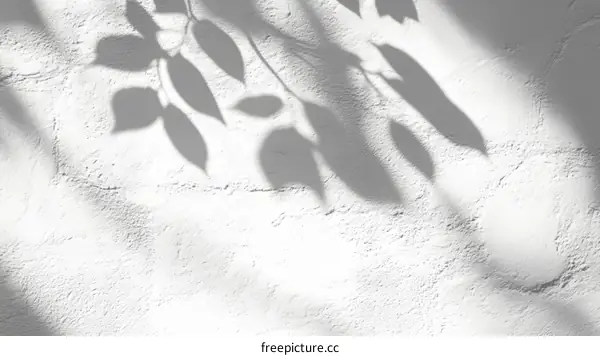 Elegant Leaf Shadows on a White Wall