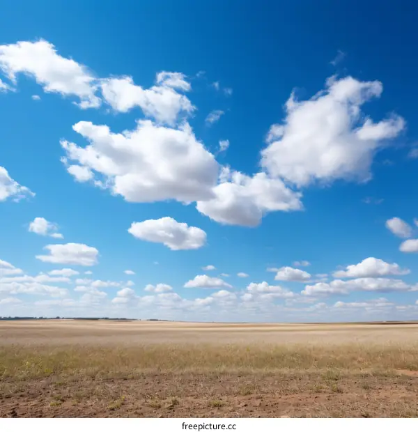 Limitless Grassy Plain Under Expansive Blue Sky and White Clouds