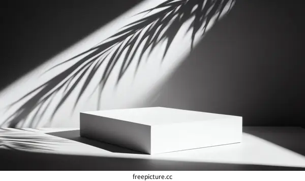Minimalist White Podium with Palm Leaf Shadow