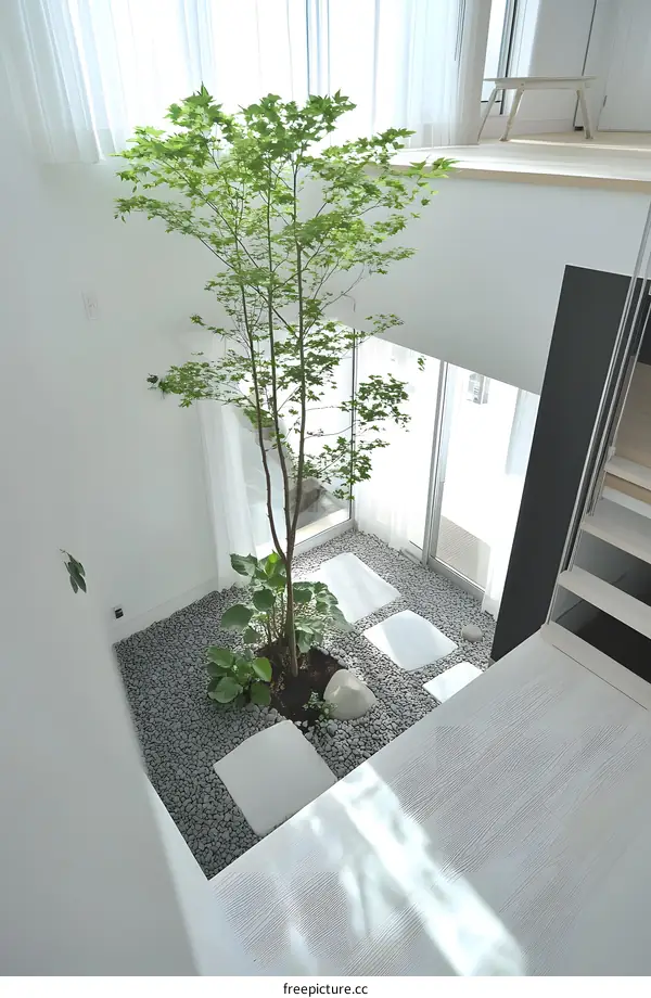 Modern Minimalist Home Interior Design with Indoor Tree and White Flooring