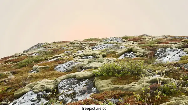 Green Moss Covered Rocks In A Mountain Landscape