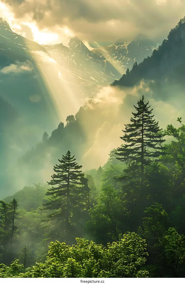 Mountain Landscape with Sunbeams Shining Through the Clouds