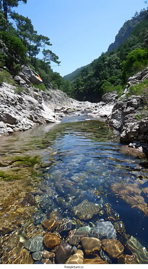 clear water in Corsica river