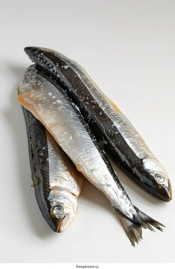 three small fishes on white background