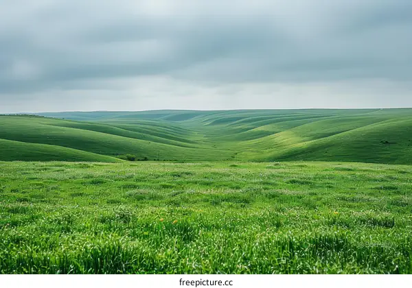 Green rolling hills under a cloudy sky