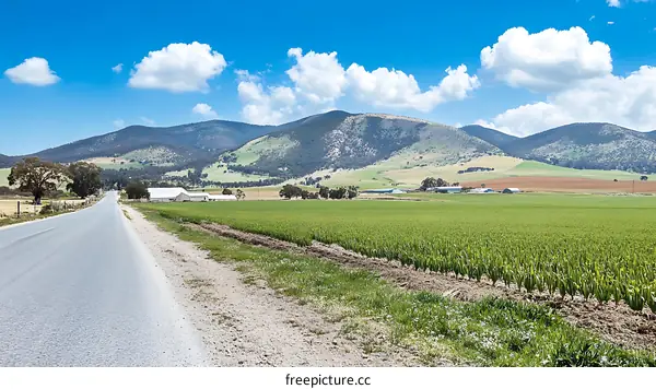 Rural Landscape with Road and Mountains