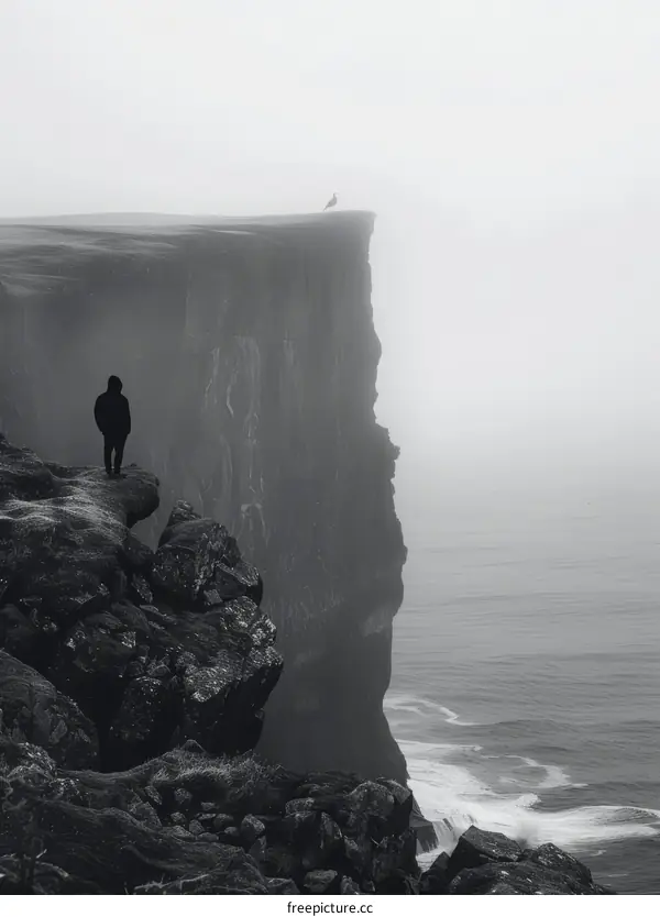 Man standing on a cliff with a bird flying above him