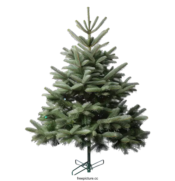 [Transparent Background PNG]Green Christmas Tree on White Background